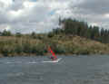 0705surf.jpg (46127 bytes)