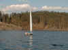 0501fi3.jpg (49872 bytes)