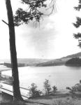 PO1s.jpg (4035 bytes)