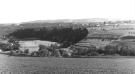 PRED10.JPG (27978 bytes)
