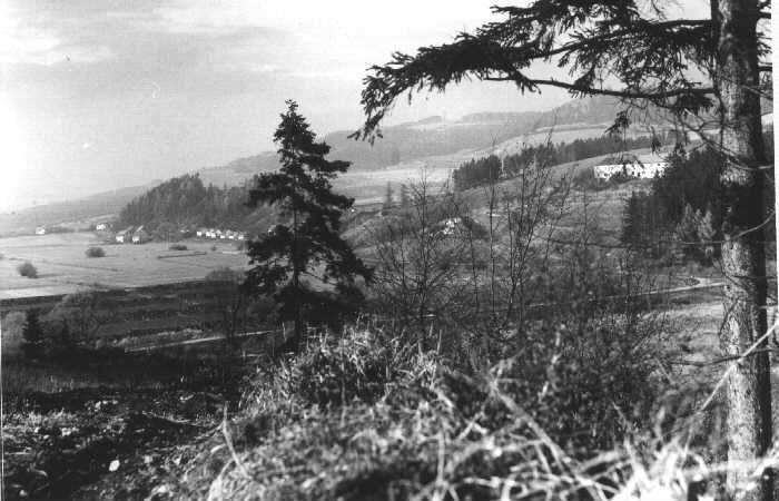 pred3.jpg (44432 bytes)