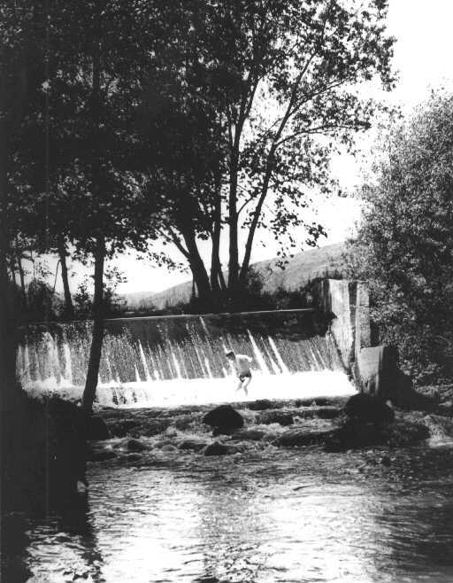 pred5.jpg (54686 bytes)